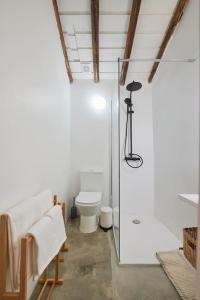 La salle de bains est pourvue de toilettes et d'une douche en verre. dans l'établissement Rustic & Aesthetic House in Alqueva with Pool, à Granja
