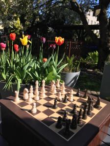ein Schachbrett auf einem Tisch in einem Garten mit Tulpen in der Unterkunft Willa Ewa in Busko-Zdrój