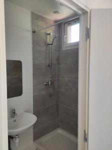 a bathroom with a shower and a sink at Le Palmier in Saint-Denis