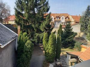 een uitzicht op een tuin met bomen en huizen bij Európa Panzió in Eger