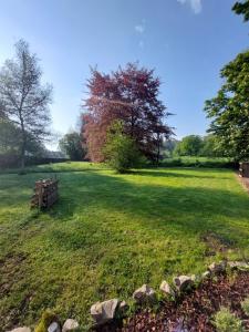 un parque con un banco en medio de un campo en Au doux Chardon en Durbuy