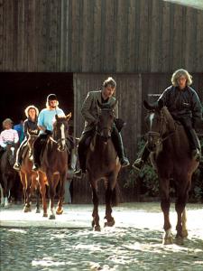 un grupo de personas montando caballos en un granero en Glaeßer Appartements, en Burg auf Fehmarn