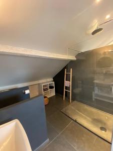 een badkamer met een wastafel en een toilet in een kamer bij B&B 't zwart peird in Poperinge