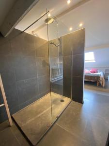 a bathroom with a shower with a glass door at B&B 't zwart peird in Poperinge