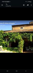 ein Screenshot einer Website eines Gebäudes mit Reben in der Unterkunft Casa di Alice in Chioggia