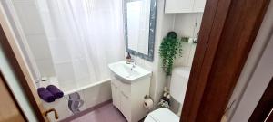 a bathroom with a sink and a toilet and a mirror at Perfect View Apartament in Bucharest