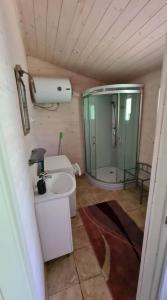 uma casa de banho com um chuveiro, um lavatório e um espelho. em Rasos kiemelis em Palanga