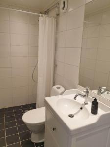 y baño con lavabo, aseo y espejo. en Välrenoverad fin lägenhet i charmigt område en Söderhamn