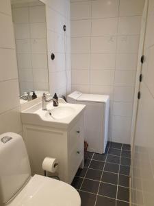 y baño con aseo, lavabo y espejo. en Välrenoverad fin lägenhet i charmigt område, en Söderhamn