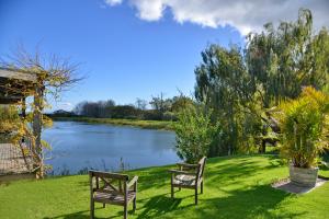 two benches sitting on the grass next to a lake at Ladybird Lodge in Stellenbosch