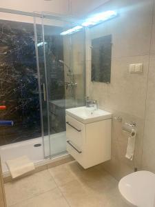Łazienka w obiekcie Apartamenty i Studia HERBARIUM