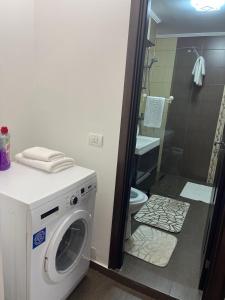 - un lave-linge dans la salle de bains pourvue de toilettes dans l'établissement Guest house, à Târgu Jiu