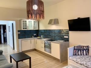 Kuchnia lub aneks kuchenny w obiekcie Apartamenty i Studia HERBARIUM