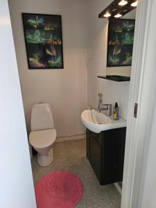 La salle de bains est pourvue de toilettes blanches et d'un lavabo. dans l'établissement The Northern Light Apartment, à Jukkasjärvi