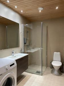 een badkamer met een toilet, een wastafel en een douche bij Spa Hotel RED in Tahkovuori