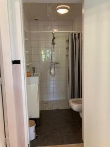 łazienka z toaletą i prysznicem w obiekcie Het Karnhuis w mieście Schoondijke