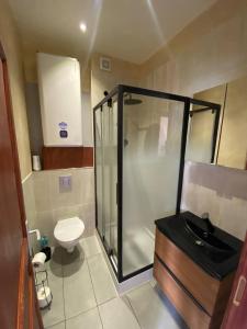 uma casa de banho com um chuveiro e um WC. em Appartements touristique - La Colombière em Lourdes