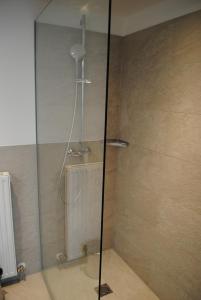 a shower with a glass door in a bathroom at Salzburg Hotel Lilienhof in Salzburg