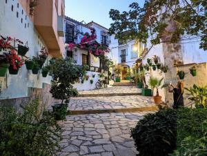 マニルバにあるBalcones de La Duquesaの鉢植えの通り