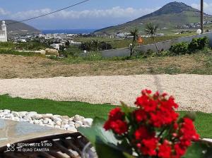 Gallery image of Irini's Earth house with Jacuzzi in Prodromos Paros