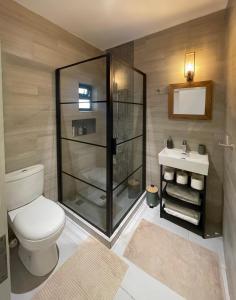 a bathroom with a shower and a toilet and a sink at Phoenix Valley Suite - Exclusive Apartment + Pool in La Caverne
