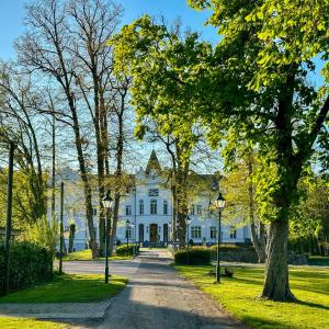 een wit huis met een met bomen omzoomde oprit bij Schloss Schlemmin in Schlemmin
