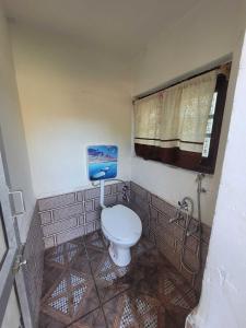 a bathroom with a toilet with a painting on the wall at OYO Home Fatima's Homestay in Wāngom