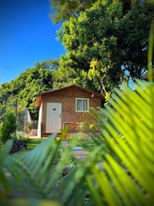 a small wooden cabin with a white door at Royal Tree Cafe And Resort in Dehradun