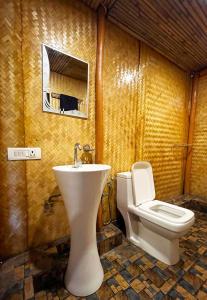 Royal Tree Cafe And Resort في دهرادون: حمام مع حوض ومرحاض