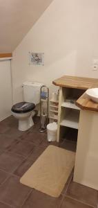 une salle de bain avec toilettes et lavabo dans l'établissement Chambre chez l'Habitant La Rance, à Plouër-sur-Rance