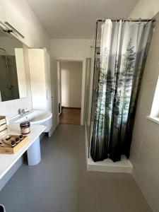 y baño con ducha, lavabo y aseo. en Appartamento Cactus, en Montanara