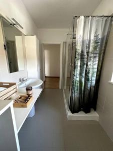 y baño con ducha, lavabo y espejo. en Appartamento Cactus, en Montanara
