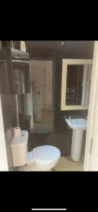 a bathroom with a toilet and a sink at Haven of Trees - Hafan Y Coed in Abercraf