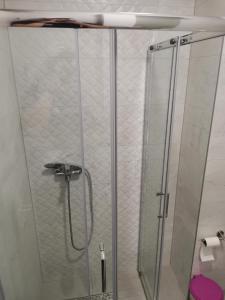 Bileća的住宿－AD Apartman Bileća，浴室里设有玻璃门淋浴