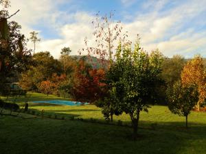 a tree in a field next to a swimming pool at Treehouse Quinta Lamosa in Arcos de Valdevez