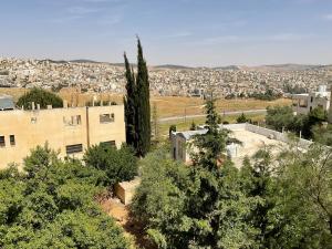 vistas a una ciudad con árboles y edificios en Black IRIS, en Jerash