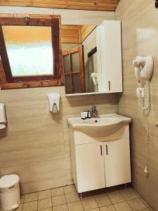 a bathroom with a sink and a mirror at Farma Sotira in Leskovik