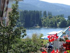 Blick auf einen See mit Bäumen und einen Berg in der Unterkunft Chez Lisa - Familienurlaub mit Pool & Sauna + HSC in Schluchsee