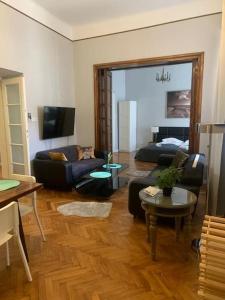 Televízia a/alebo spoločenská miestnosť v ubytovaní Floriańska Grand Apartment 2