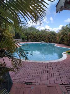 - une piscine dans un complexe avec un palmier dans l'établissement Bois Canon, à Le Robert