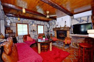 a living room with a couch and a tv at Apartment Jovicevic in Rijeka Crnojevića