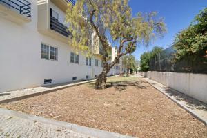 a tree in a yard next to a building at Charming Apartment in Santa Luzia