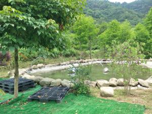 Galeriebild der Unterkunft Traveller Mountain Spring Farm in Beipu