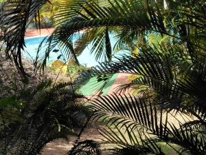 - une vue sur la plage à travers les palmiers dans l'établissement Bois Canon, à Le Robert