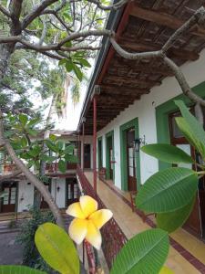 a yellow flower on a balcony of a building at Gran Hotel Concordia in Salto +24 photos