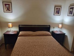 1 dormitorio con 1 cama y 2 mesitas de noche con lámparas en Gran Hotel Concordia en Salto