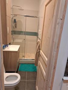 een badkamer met een douche, een toilet en een wastafel bij Renovated fully equipped studio for 2 to 4 pers in La Ciotat