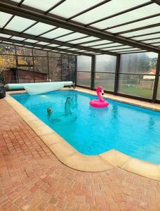 ein Pool mit zwei Schwänen und einem rosa Schwimmer in der Unterkunft Le domaine lyonnais pour groupe in Violay