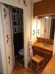 ein Badezimmer mit einem WC, einem Waschbecken und einem Spiegel in der Unterkunft Le domaine lyonnais pour groupe in Violay