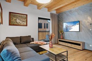 TV a/nebo společenská místnost v ubytování Apartmány Čistá